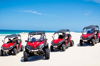 Sharm Desert Safari  photo